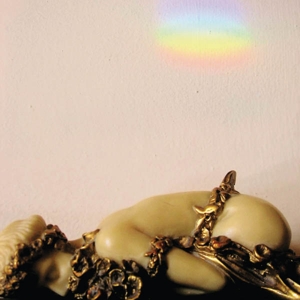 CD Shop - JOSEPHINE FOSTER NO MORE LAMPS IN THE