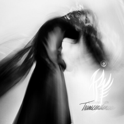 CD Shop - INDIGO RAVEN LOOKING FOR TRANSCENDENCE