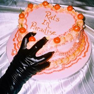 CD Shop - EMILY BREEZE RATS IN PARADISE