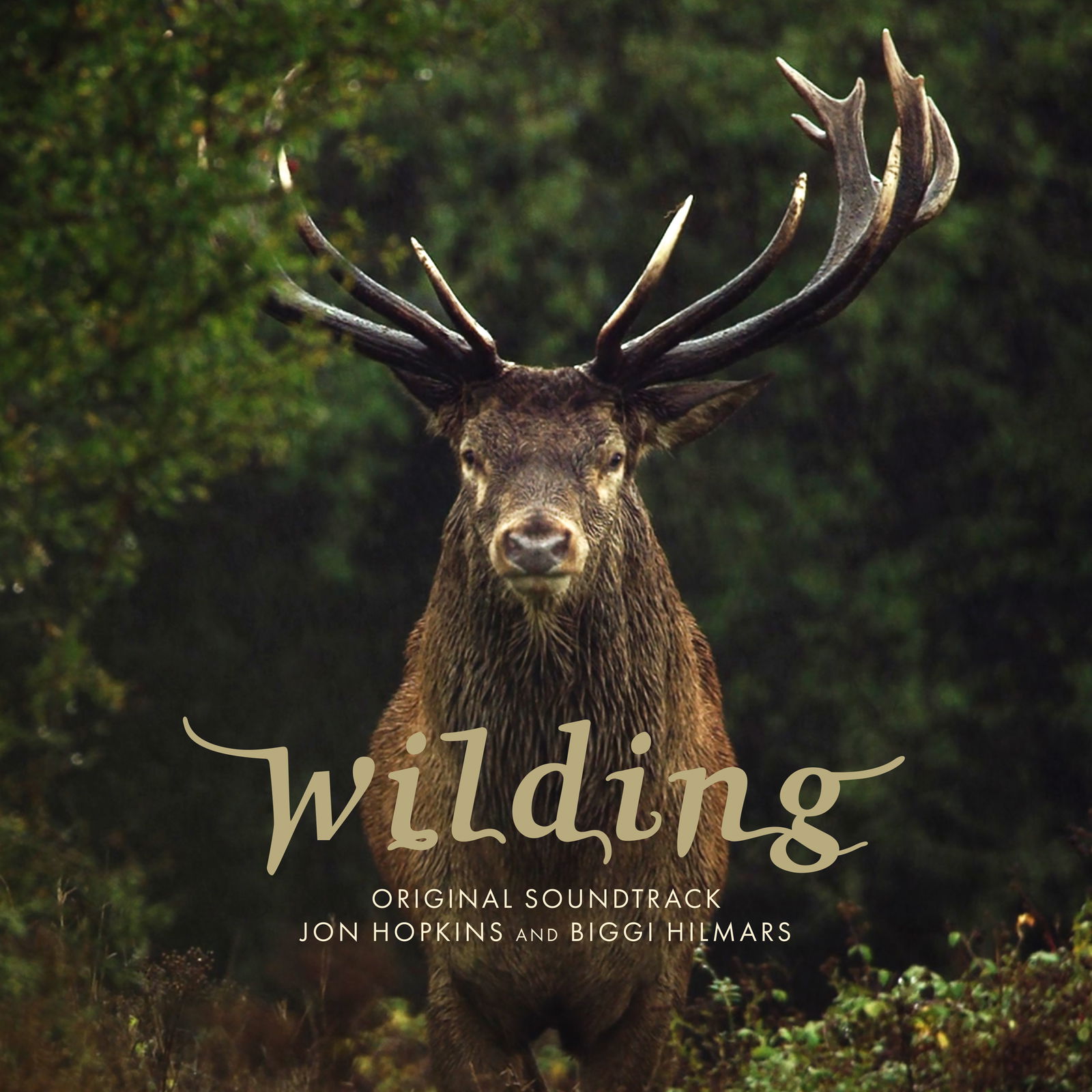 CD Shop - JON HOPKINS,BIGGI HILMARS WILDING