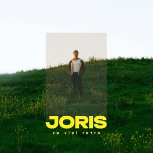 CD Shop - JORIS ZU VIEL RETRO