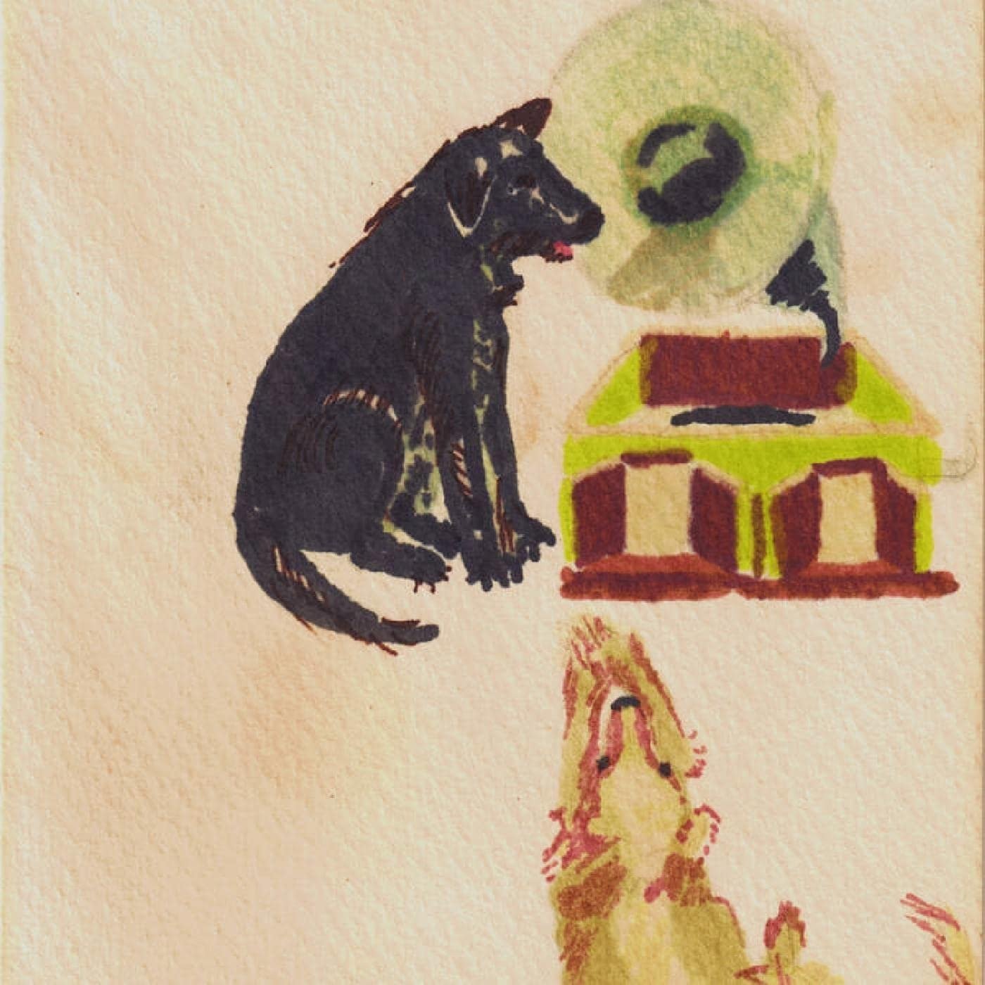 CD Shop - DWAAL TROUPE LUCKY DOG