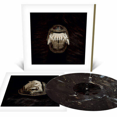 CD Shop - AMENRA DE TOORN