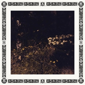 CD Shop - SARAH DAVACHI PALE BLOOM