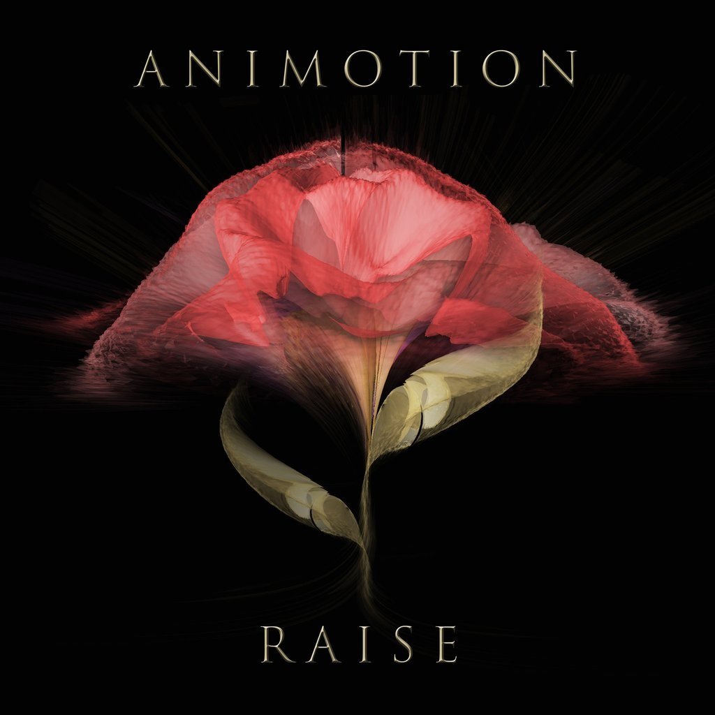 CD Shop - ANIMOTION RAISE YOUR EXPECTATIONS