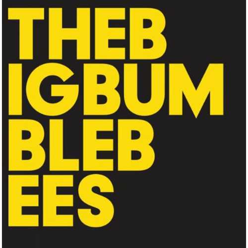 CD Shop - BABY DEE & ELIOT BATES BIG BUMBLE BEES