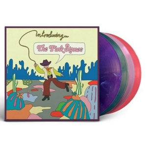 CD Shop - PINK STONES INTRODUCING...THE PINK...
