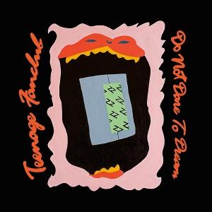 CD Shop - TEENAGE FANCLUB DO NOT DARE TO DREAM