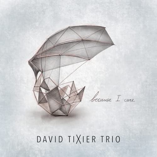 CD Shop - DAVID TIXIER TRIO FEAT. DAVID LINX BECAUSE I CARE