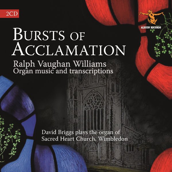 CD Shop - DAVID BRIGGS BURSTS OF ACCLAMATION