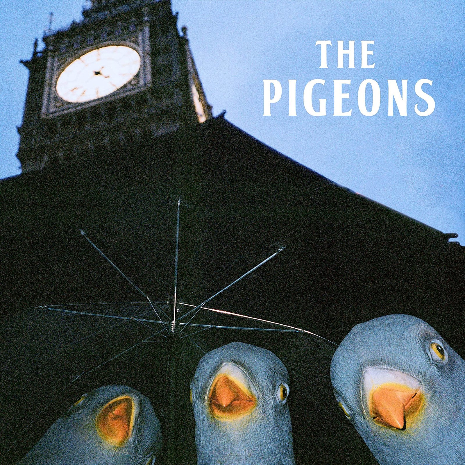 CD Shop - PIGEONS BIRD BRAIN GANG