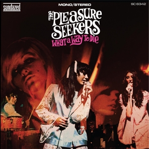 CD Shop - PLEASURE SEEKERS WHAT A WAY TO DIE