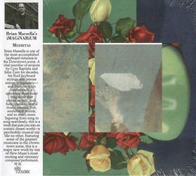 CD Shop - BRIAN MARSELLA\