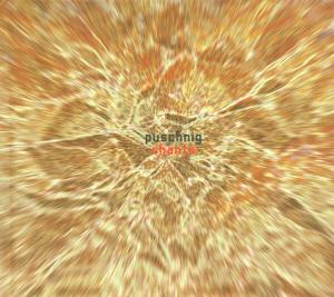 CD Shop - WOLFGANG PUSCHNIG CHANTS
