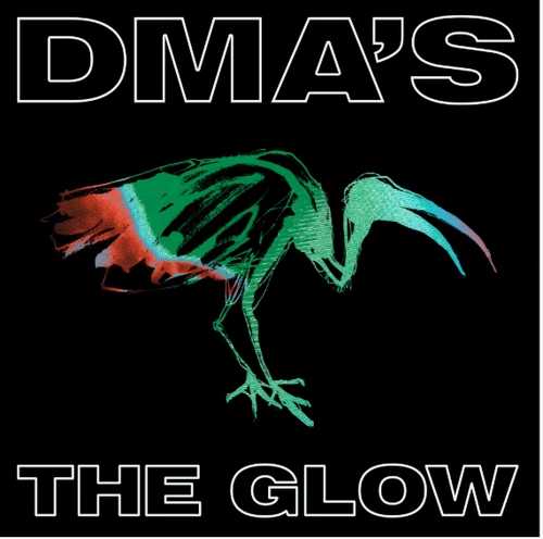 CD Shop - DMA\