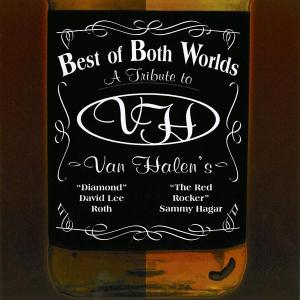 CD Shop - VARIOUS ARTISTS BEST OF BOTH WORLDS