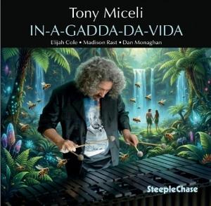 CD Shop - TONY MICELI IN-A-GADDA-DA-VITA