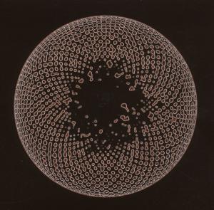 CD Shop - ORGAN EYE ORGAN EYE