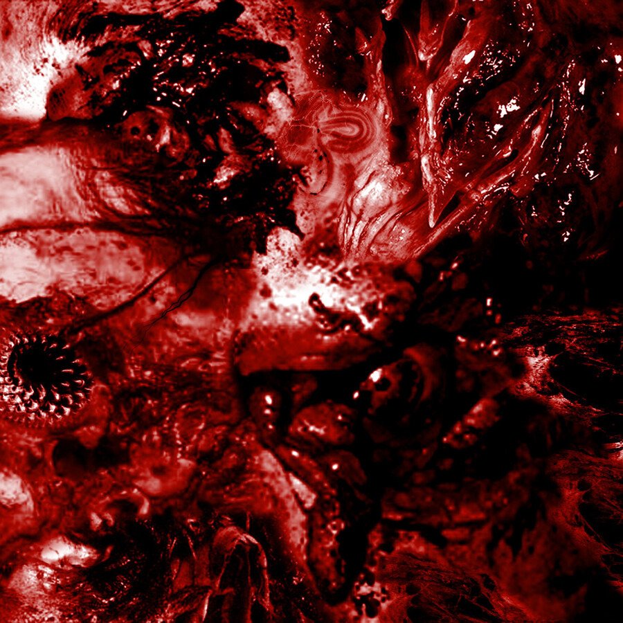 CD Shop - EXCRESCENCE INESCAPABLE ANATMICAL ...