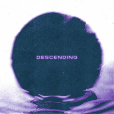 CD Shop - ELWOOD STRAY DESCENDING