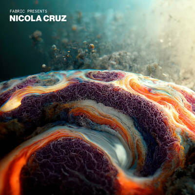 CD Shop - NICOLA CRUZ FABRIC PRESENTS NICOLA...