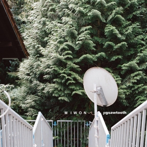 CD Shop - MIWON JIGSAWTOOTH