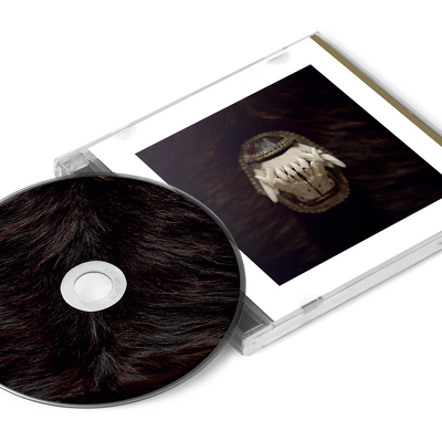 CD Shop - AMENRA DE TOORN