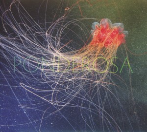 CD Shop - PONDEROSA POOL PARTY