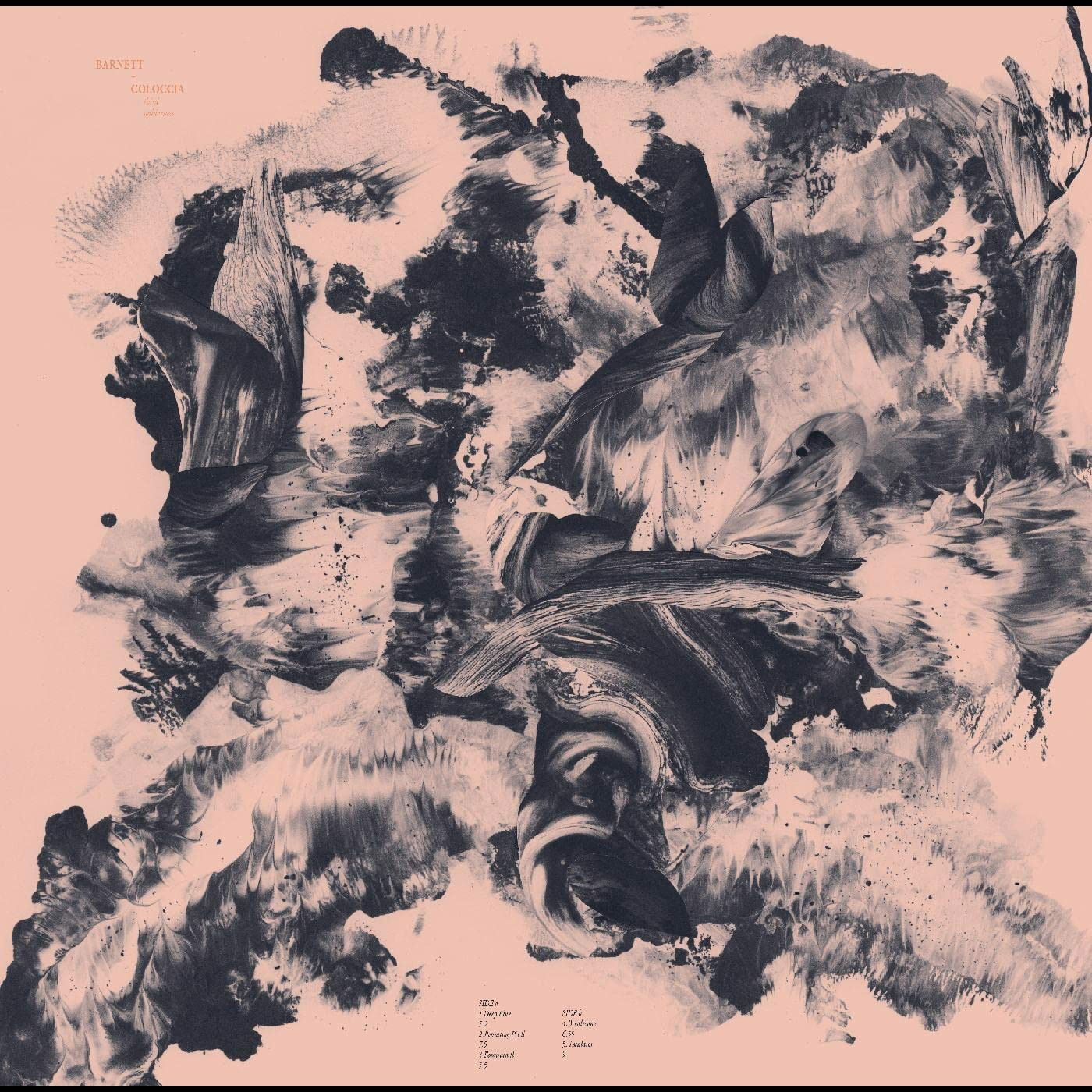 CD Shop - BARNETT & COLOCCIA THIRD WILDERNESS