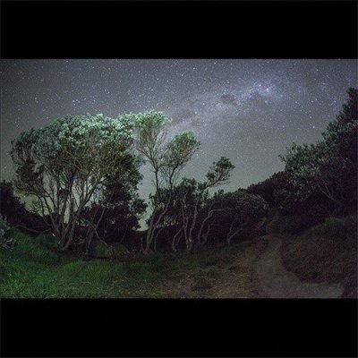 CD Shop - ESBEN AND THE WITCH OLDER TERRORS