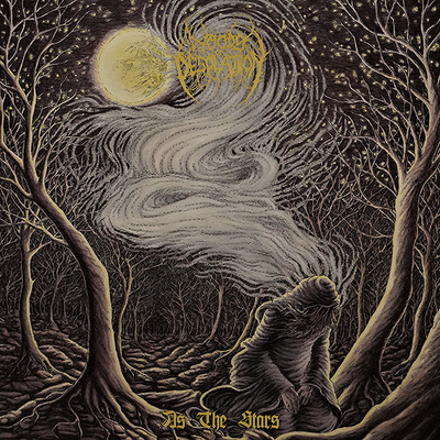 CD Shop - WOODS OF DESOLATION AS THE STARS