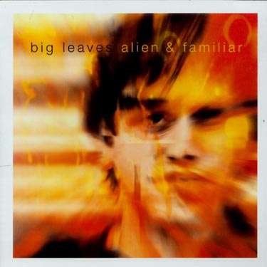 CD Shop - BIG LEAVES ALIEN AND FAMILIAR