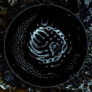 CD Shop - STONUS STONUS