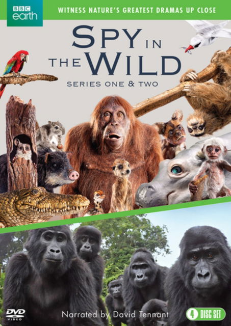 CD Shop -  SPY IN THE WILD: SERIE...