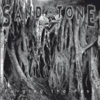 CD Shop - SANDSTONE PURGING THE PAST