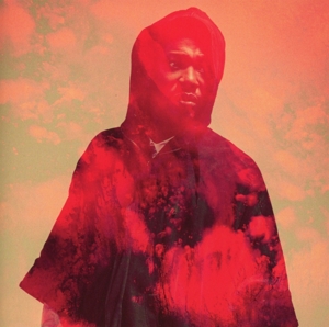 CD Shop - ROOTS MANUVA BLEEDS