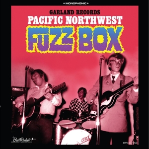 CD Shop - VARIOUS ARTISTS PACIFIC NORTHWEST FUZZ...