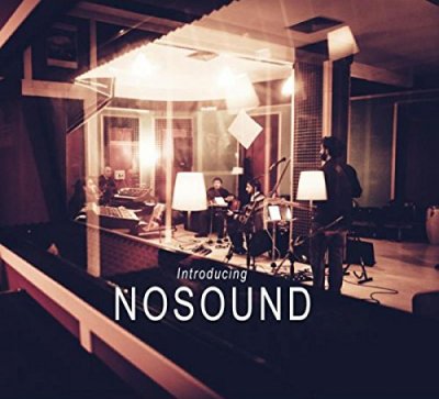 CD Shop - NOSOUND INTRODUCING NOSOUND