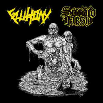 CD Shop - GLUTTONY/SORDID FLESH SPLIT