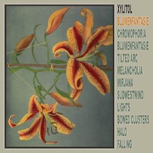 CD Shop - XYLITOL BLUMENFANTASIE