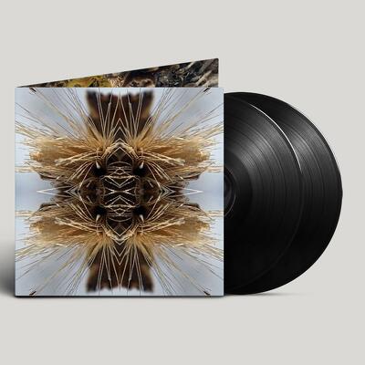 CD Shop - YAKUZA SUTRA BLACK LTD.