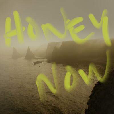 CD Shop - NEON WALTZ HONEY NOW