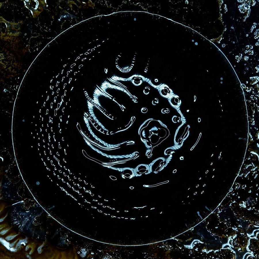 CD Shop - STONUS STONUS