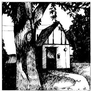 CD Shop - NAOMI LEWIS COTTAGE SONGS