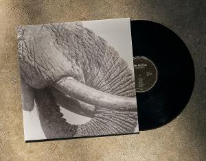 CD Shop - WHITE ELEPHANT WORLD ELEPHANT DAY