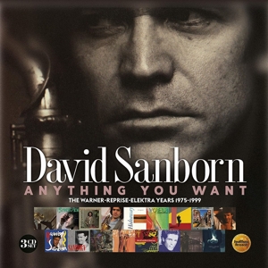 CD Shop - DAVID SANBORN ANYTHING YOU WANT: THE...