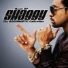 CD Shop - SHAGGY THE BOOMBASTIC COLLECTION