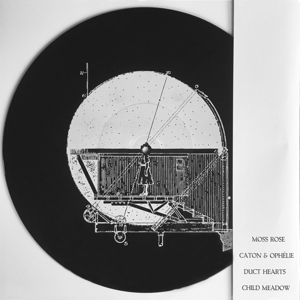 CD Shop - MOSS ROSE SPLIT