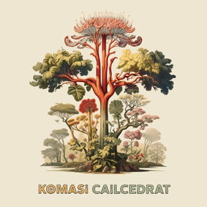 CD Shop - KOMASI CAILCEDRAT