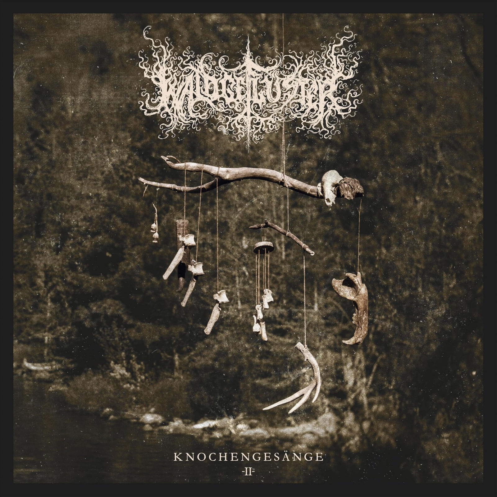 CD Shop - WALDGEFLüSTER KNOCHENGESANGE II